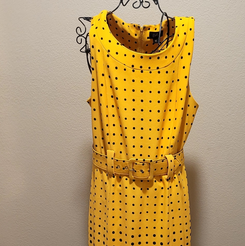 ILE New York Womens Dress Size 12 Belted Polka Dots  Below knee  Zip Style